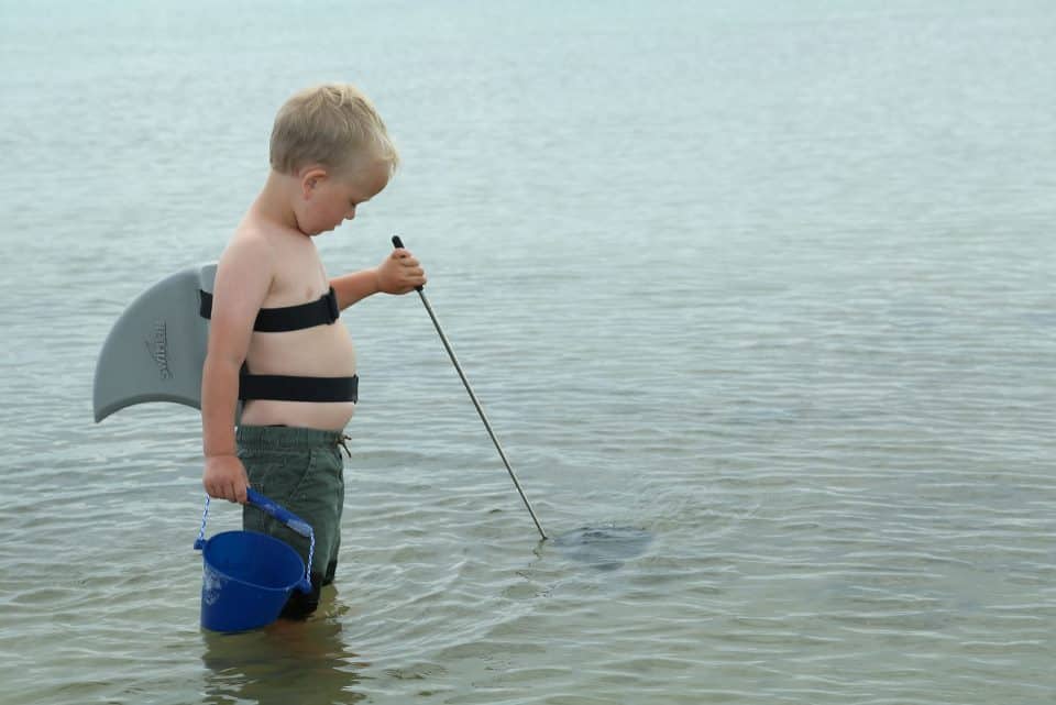 SwimFin Hajfinne - Lys Grå - Image 4