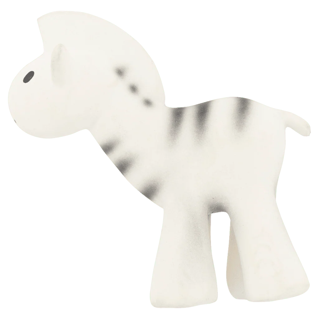 Zebra - Image 3