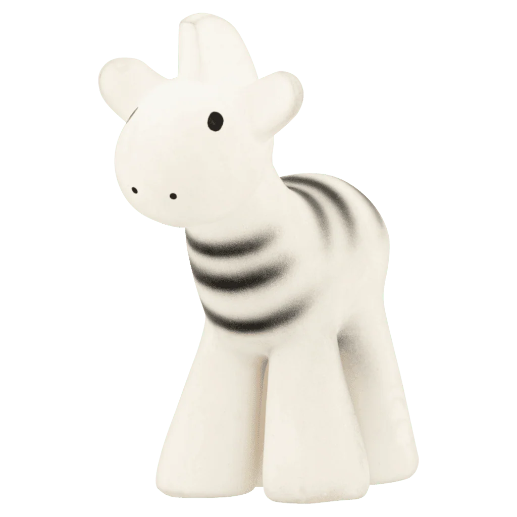 Zebra - Image 5